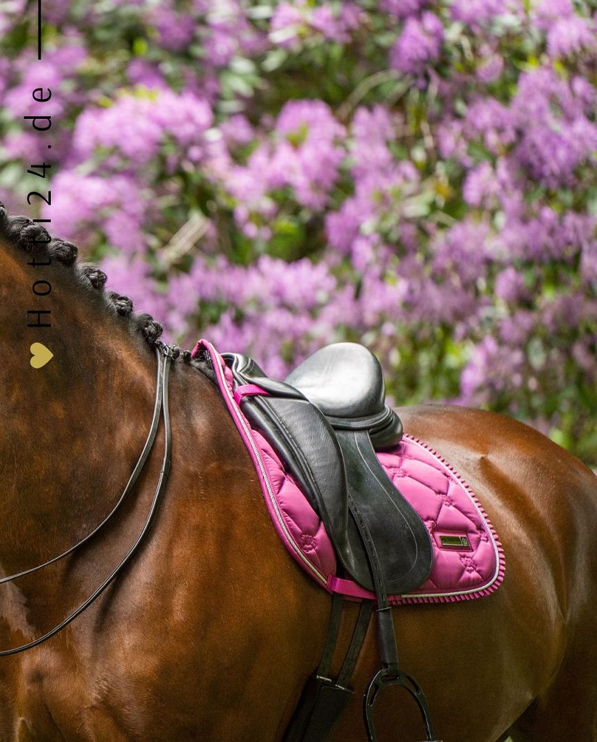 Imperial Riding präsentiert die Dressurschabracke IRH Lovely in der Farbkombination Dark Flower/Pink mit der Artikelnummer ZT78122000-3156. Diese Dressurschabracke vereint Stil und Funktionalität und ist ideal für Dressuraktivitäten. Für weitere Informationen und die Möglichkeit zum Kauf besuchen Sie bitte die Website www.Hotti24.de