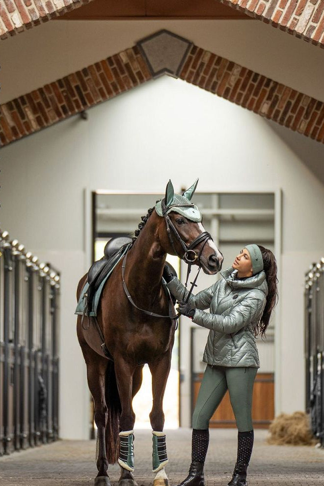 Die Imperial Riding Jacke "Cosmic Rider" in Sage Green (Artikelnummer: KL36322010-6036) ist die ideale Wahl, um stilvoll und funktional auf dem Reiterhof zu sein. Mit ihrem trendigen Design und hochwertigen Materialien hält sie Sie warm und trocken, selbst an kalten und nassen Tagen. Diese Jacke ist ein Muss für jeden Reiter und kann auf www.Hotti24.de erworben werden. Bleiben Sie warm und modisch, egal bei welchem Wetter.