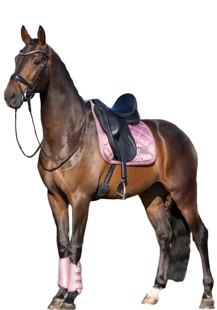 IMPERIAL RIDING »Dressage Boots IRHLovely Classy Pink