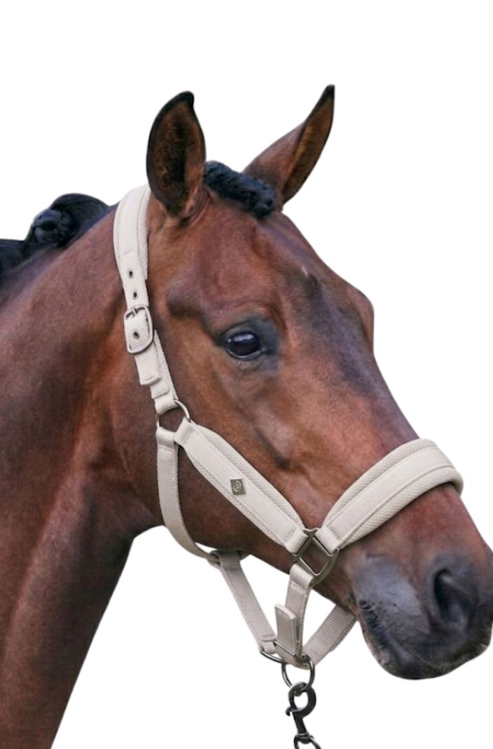 Imperial Riding Head Collar IRHJewel Mesh Grey Sand