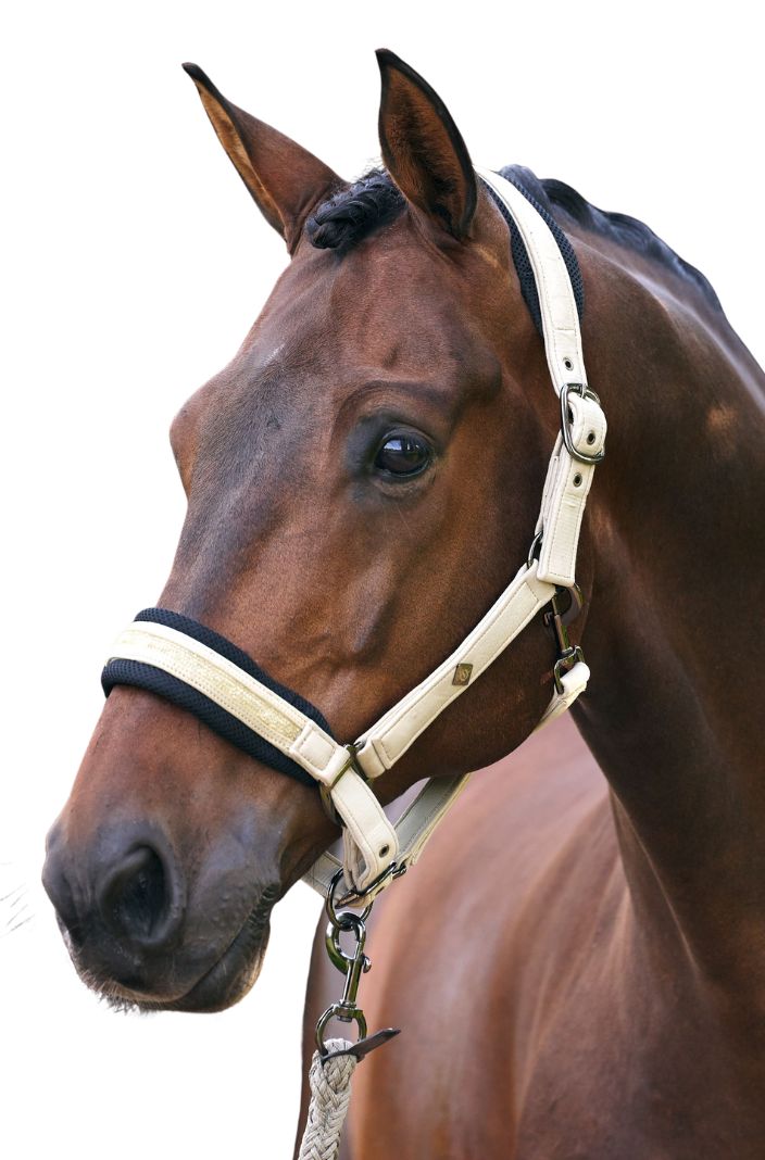 Imperial Riding Halfter IRHJewel Mesh Light Olive