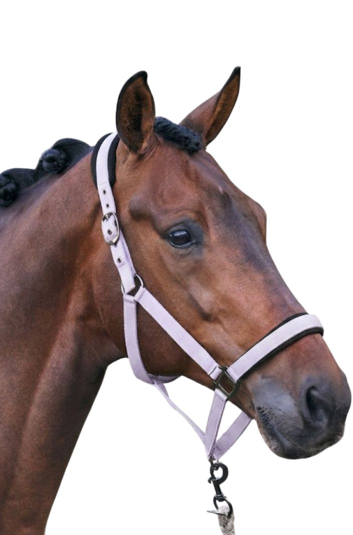 Imperial Riding Headcollar IRHJewel Mesh Wisteria