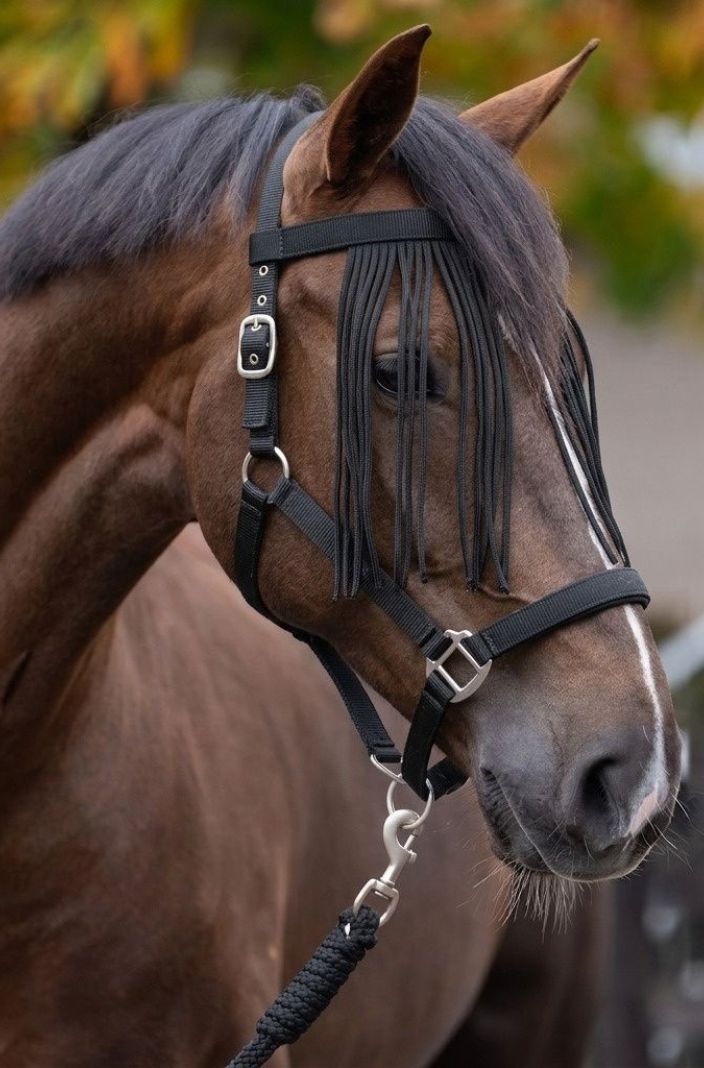 IMPERIAL RIDING »Headcollar with Fly Fringe & Lead Rope Black