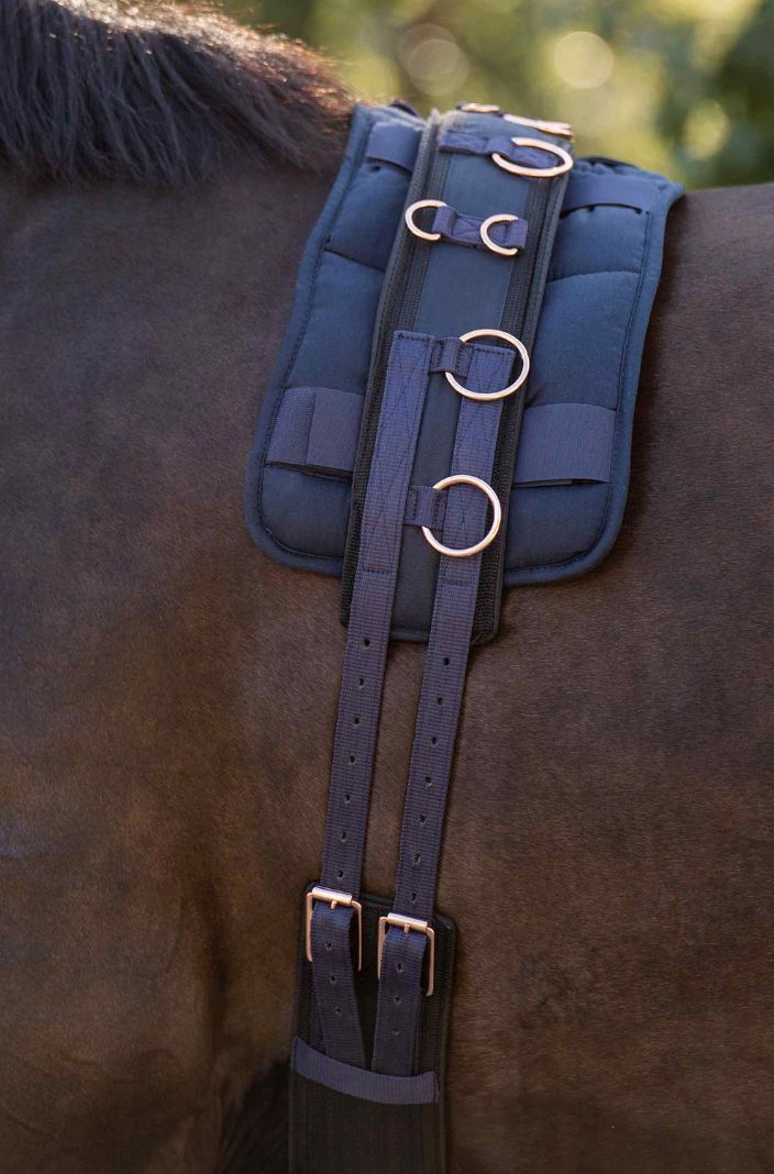 Imperial Riding Longiergurt IRHDeluxe Extra Navy