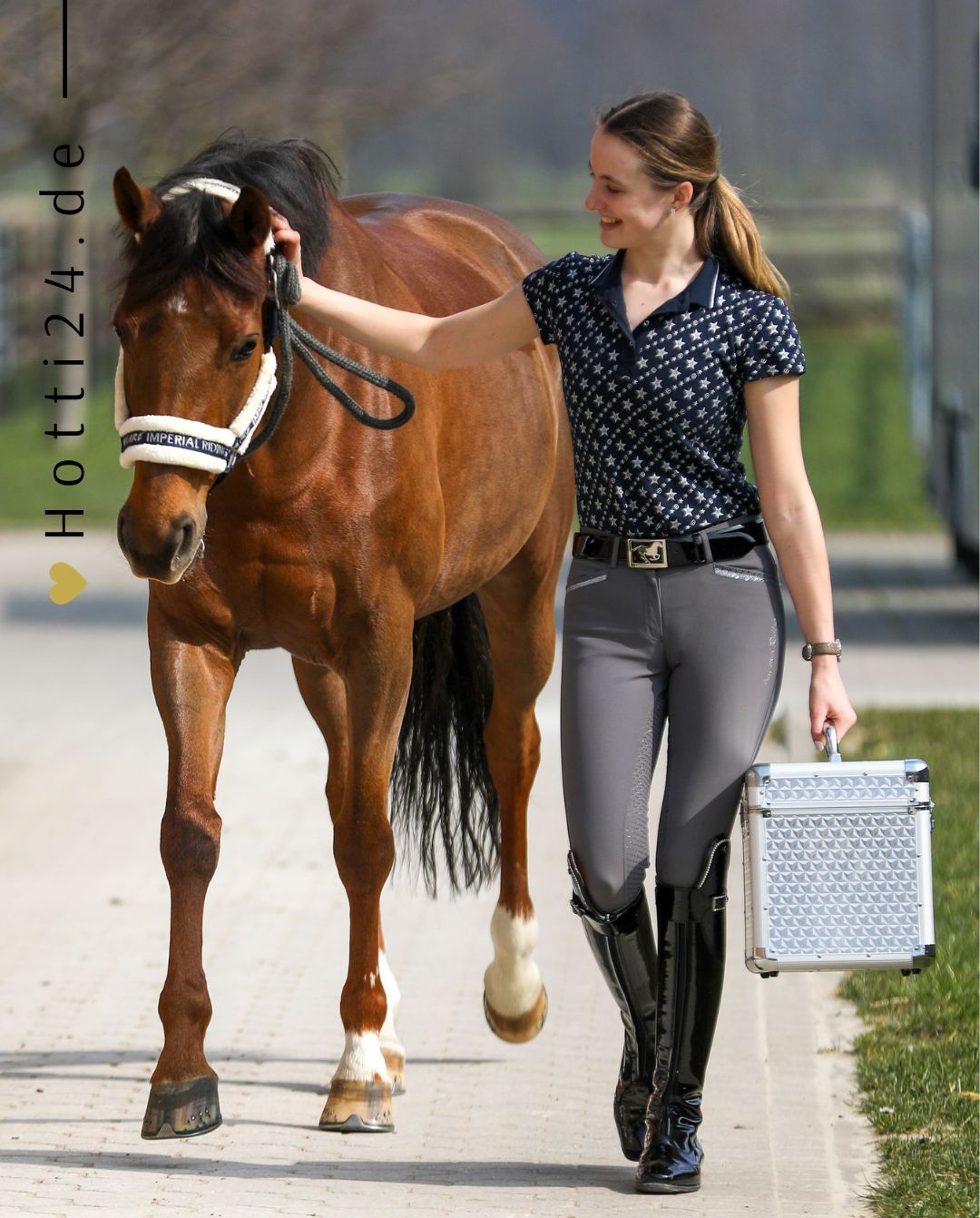 imperial-riding-pferde-putzbox-irhshiny-st68120002-7034-silver-kaufen-www.hotti24.de