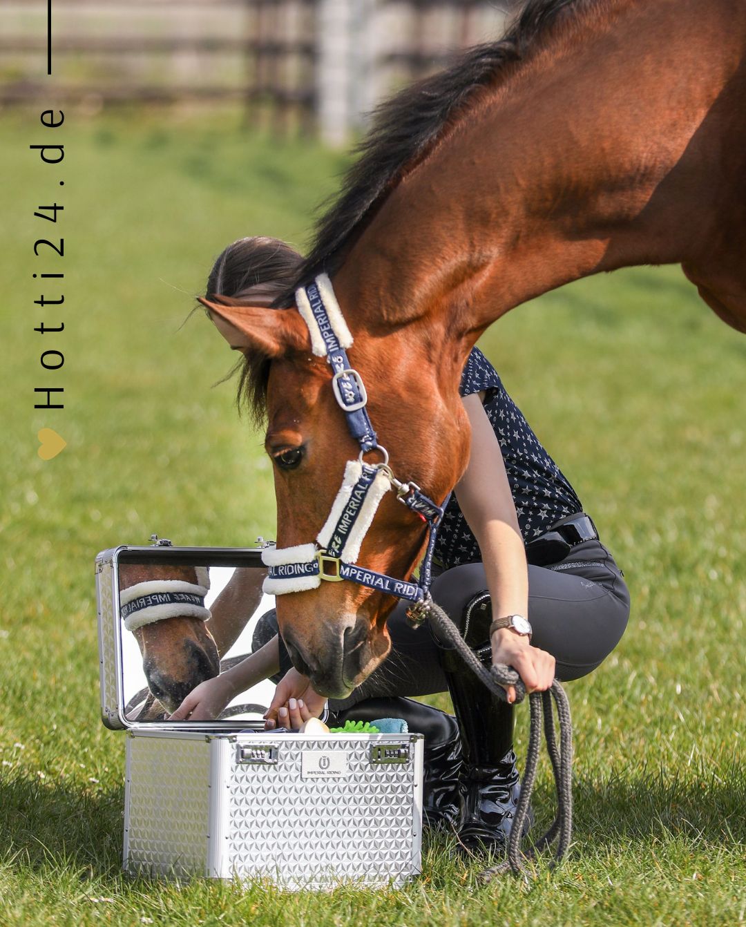 Imperial Riding »Pferde Putzbox Putzkoffer Shiny Silber, unser Bestseller Putzbox Shiny ist das perfekte Beauty-Case zur Aufbewahrung all deiner Pflegeprodukte und Accessoires Artikelnummer ST68120002-7034 erhältlich bei www.Hotti24.de