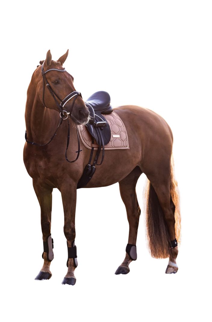 Imperial Riding Streichkappen IRHLovely Cappuccino