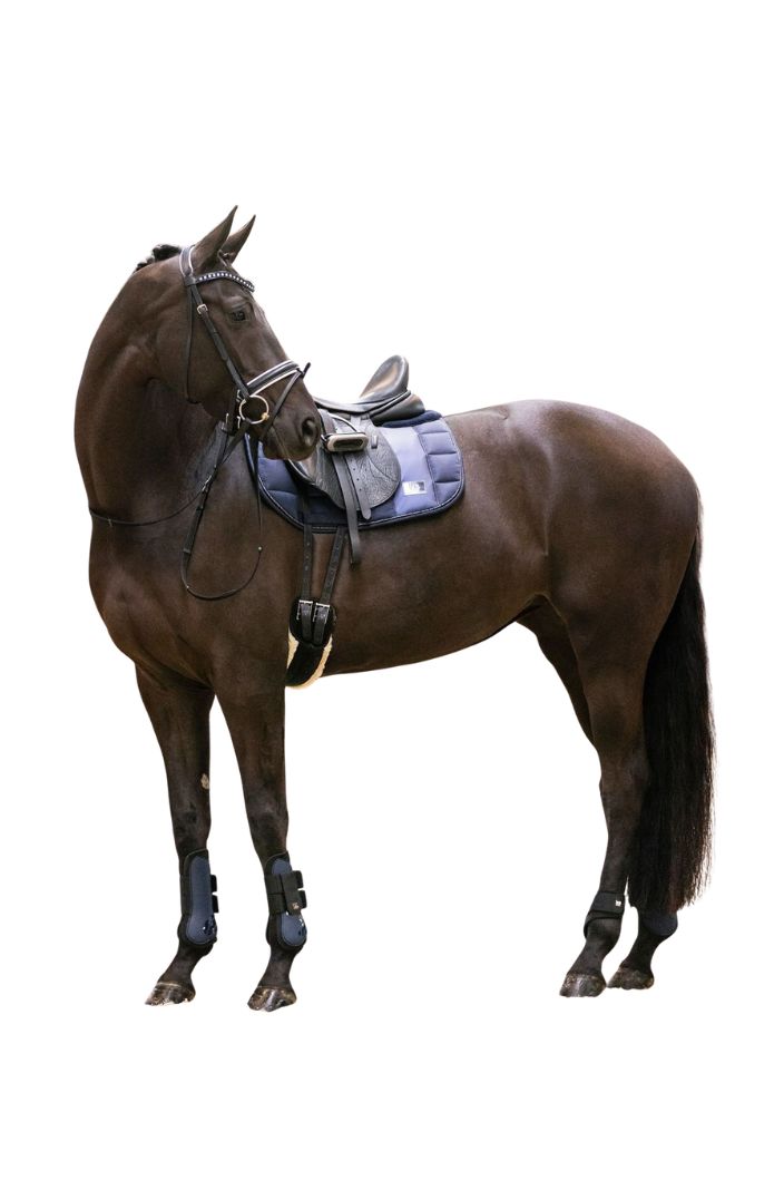 Imperial Riding Streichkappen IRHLovely Navy
