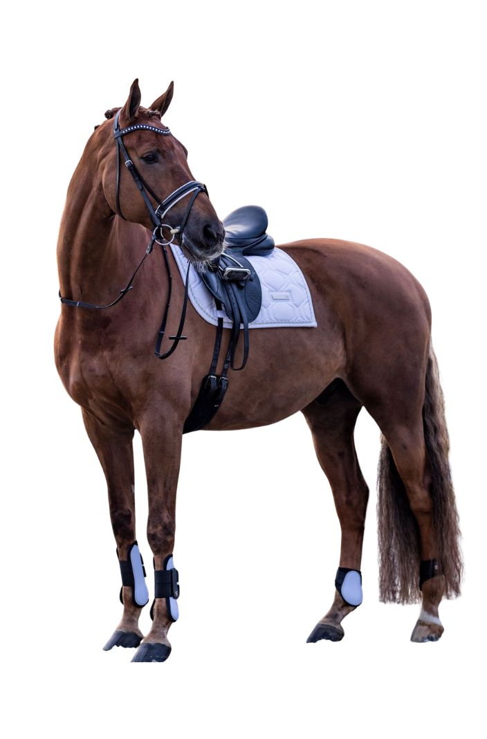 Imperial Riding Streichkappen IRHLovely Weiß