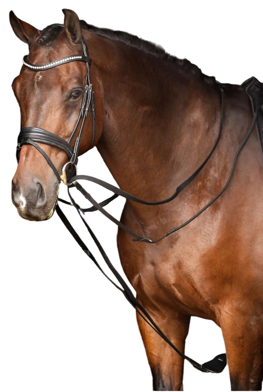 imperial-riding-pferde-zuegel-irhcore-te76223000-9000-schwarz-kaufen-www.hotti24.de