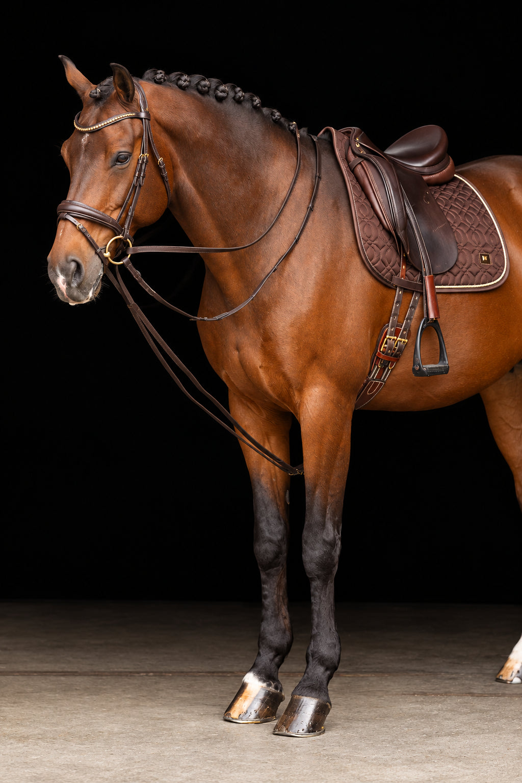 imperial-riding-pferde-zugel-irhcore-te76223000-8000-braun-kaufen-www.hotti24.de