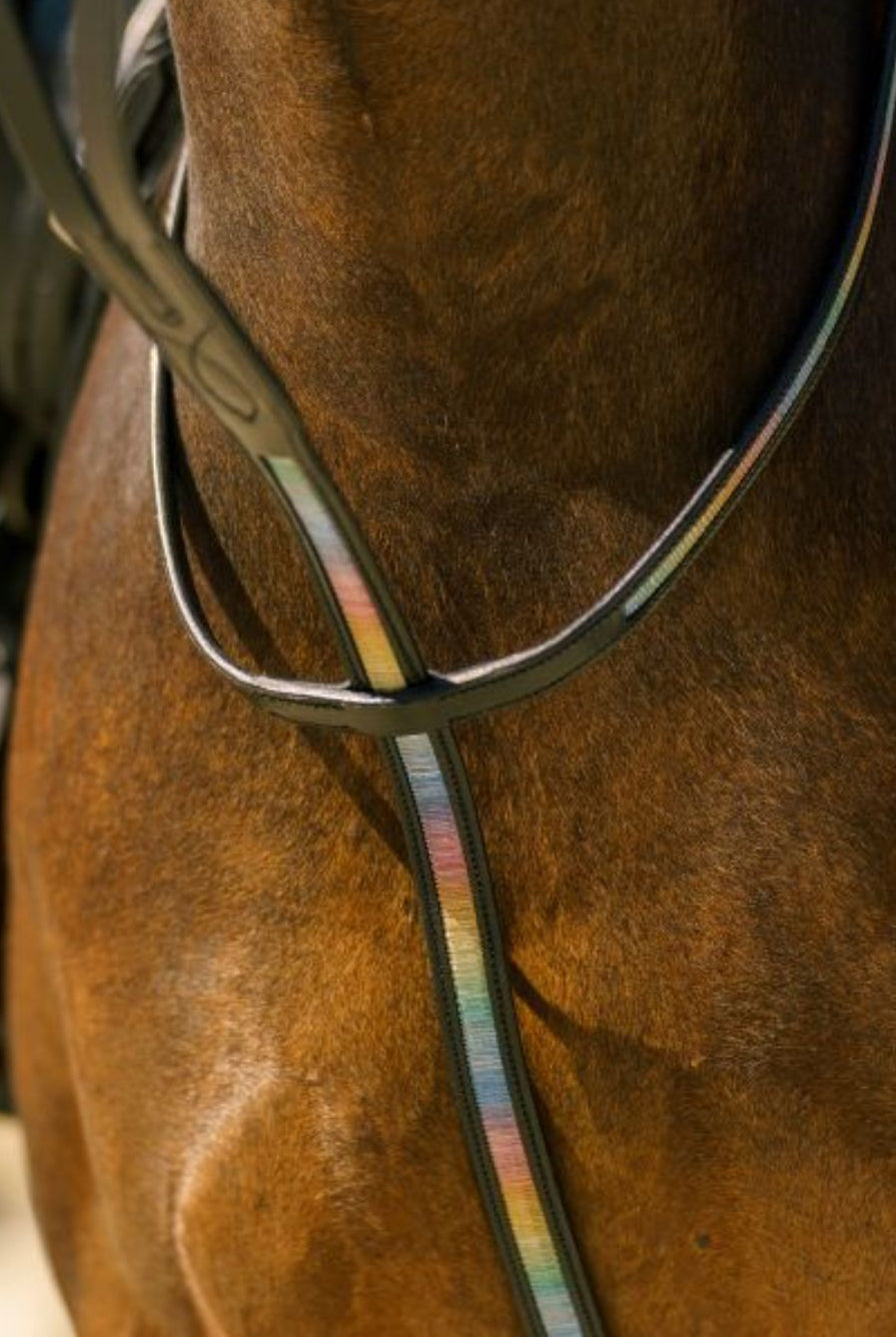 imperial-riding-shetty-martingal-irhrainbow-te76124001-180-kaufen-www.hotti24.de
