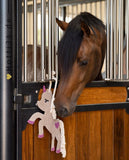 Imperial Riding »Pferde Stallkumpel Rosa, der neue beste Freund deines Pferdes - unser Stallkumpel Einhorn. Er kann im Stall an einem Seil aufgehängt werden, damit dein Pferd damit spielen kann ST83122001-1017