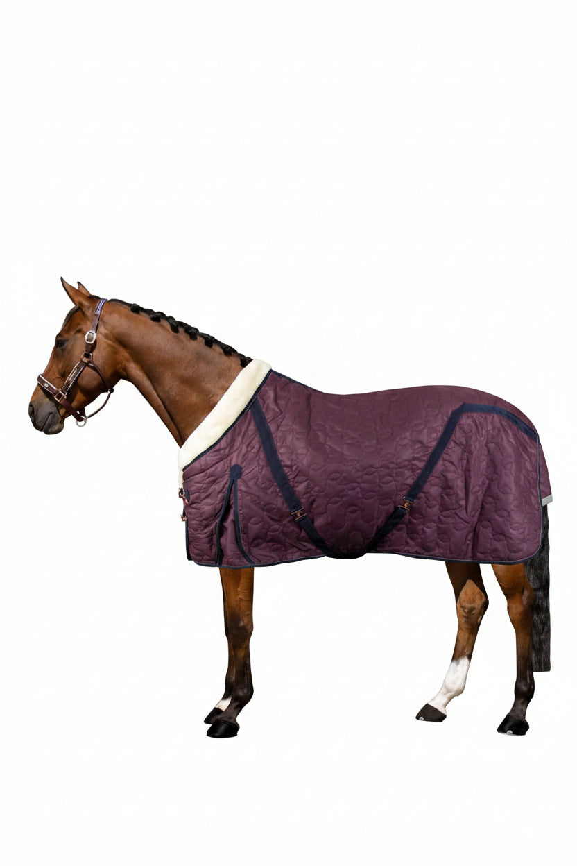 Die Imperial Riding Stalldecke "Super Dry" in Bordeaux mit der Artikelnummer DE30321000-3003 ist bei www.Hotti24.de erhältlich. Diese Stalldecke von Imperial Riding bietet Ihrem Pferd Schutz und Komfort während seiner Stallzeit. Die marineblaue Farbe verleiht der Decke ein klassisches Aussehen und sie ist aus hochwertigen Materialien gefertigt, die für Strapazierfähigkeit und Langlebigkeit sorgen. Besuchen Sie www.Hotti24.de, um weitere Informationen über diese Stalldecke zu erhalten oder sie zu erwerben.