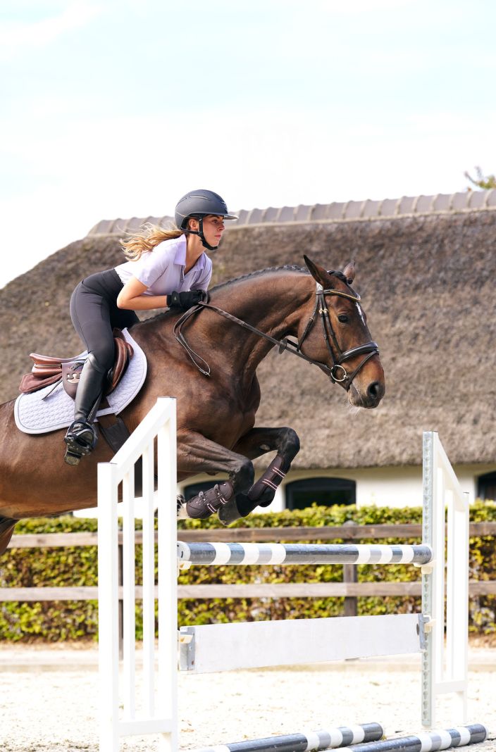 Imperial Riding Reithelm IRHOlania Deluxe Big Visor Navy Matt