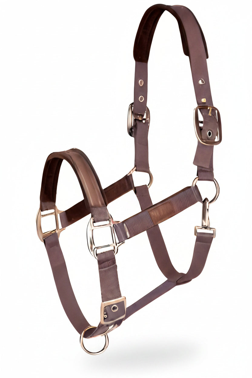 isabell-werth-tim-s-halfter-4412902-brown-kaufen-www.hotti24.de
