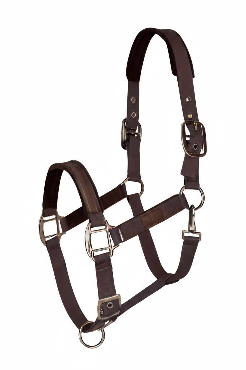 isabell-werth-tim-s-halfter-4413102-coffee-kaufen-www.hotti24.de