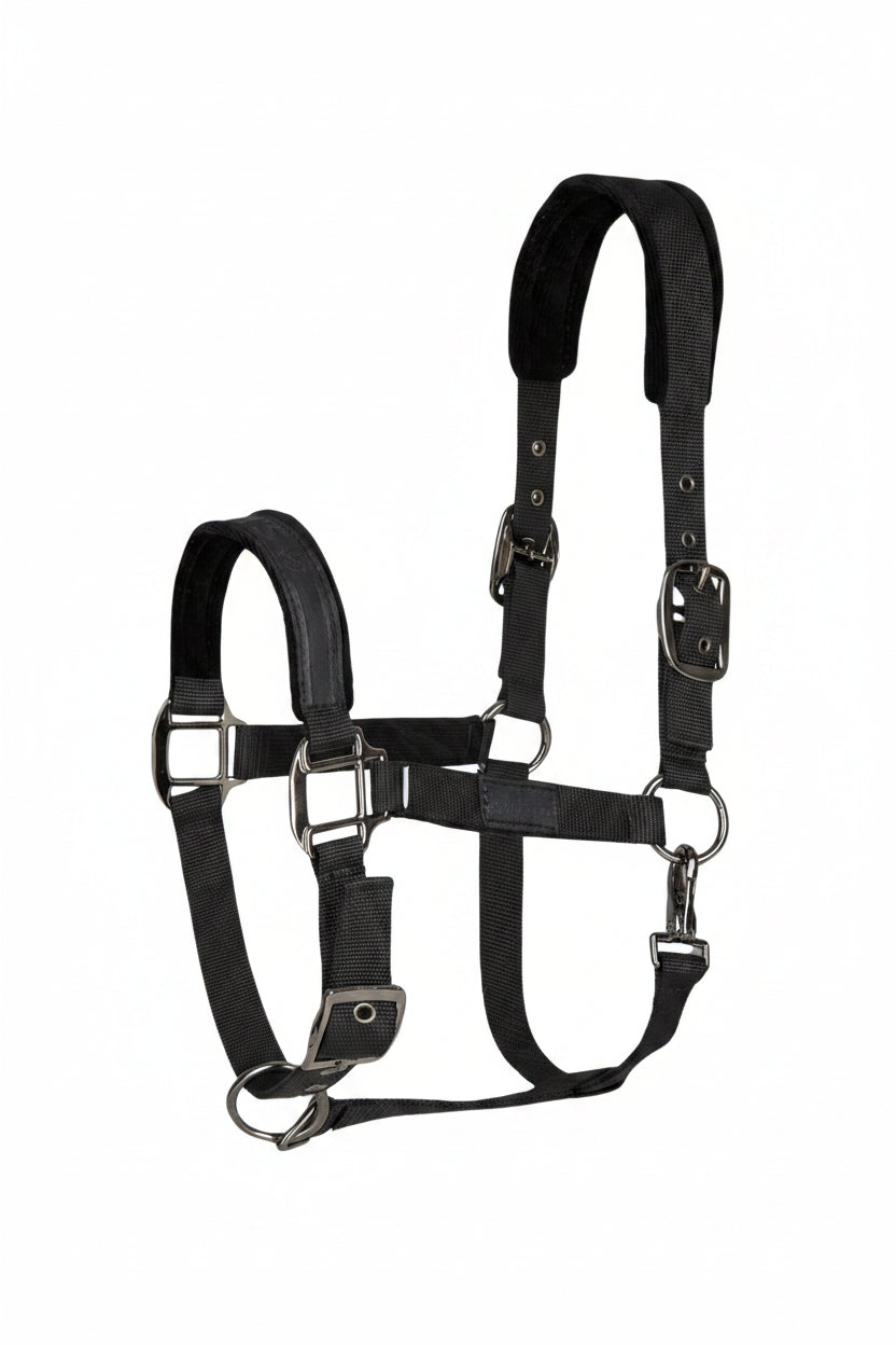 isabell-werth-tim-s-halfter-black-4412601-kaufen-www.hotti24.de