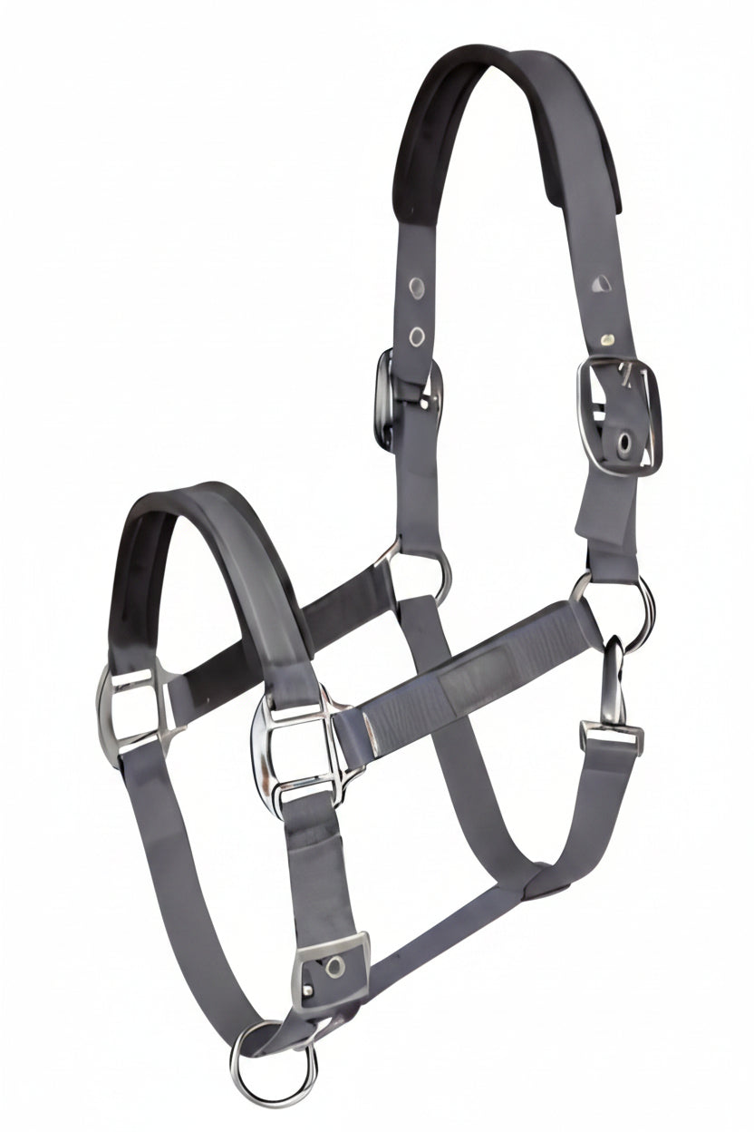 isabell-werth-tim-s-halfter-grey-4413002-kaufen-www.hotti24.de