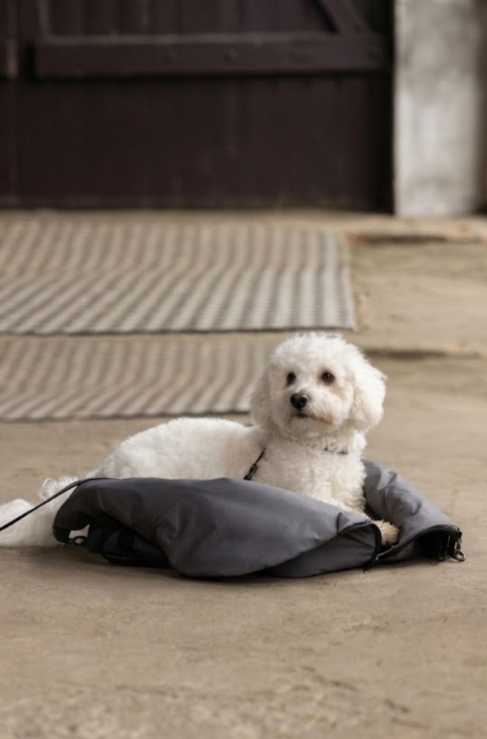 Kingsland Hundetasche KLMacey Grey Forged Iron