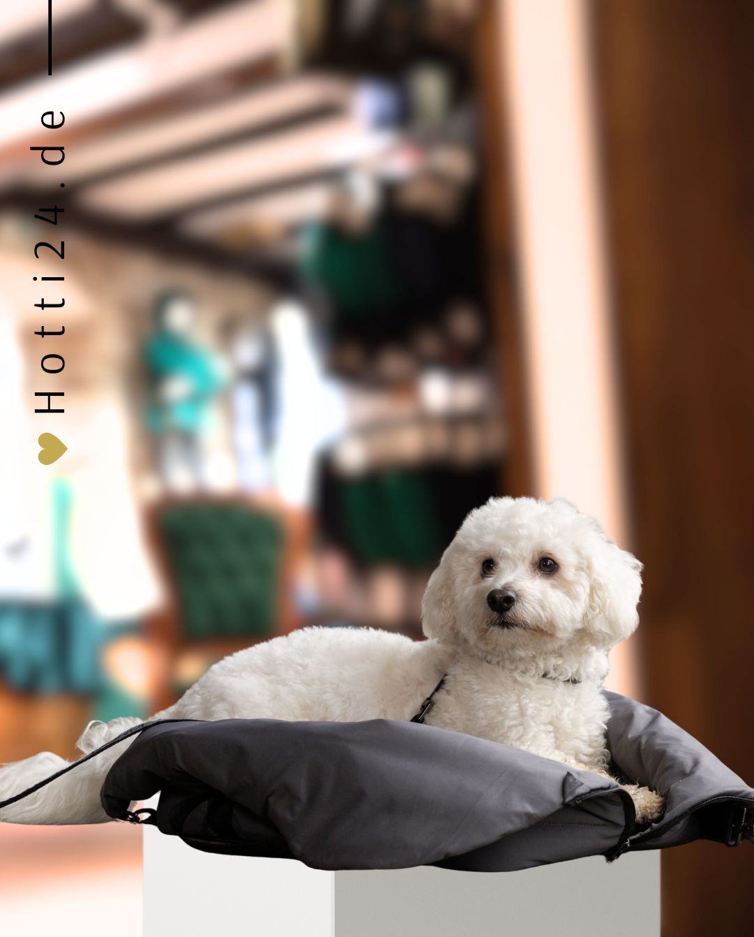 KINGSLAND »Hundetragetasche KLMacey Grey Forged Iron