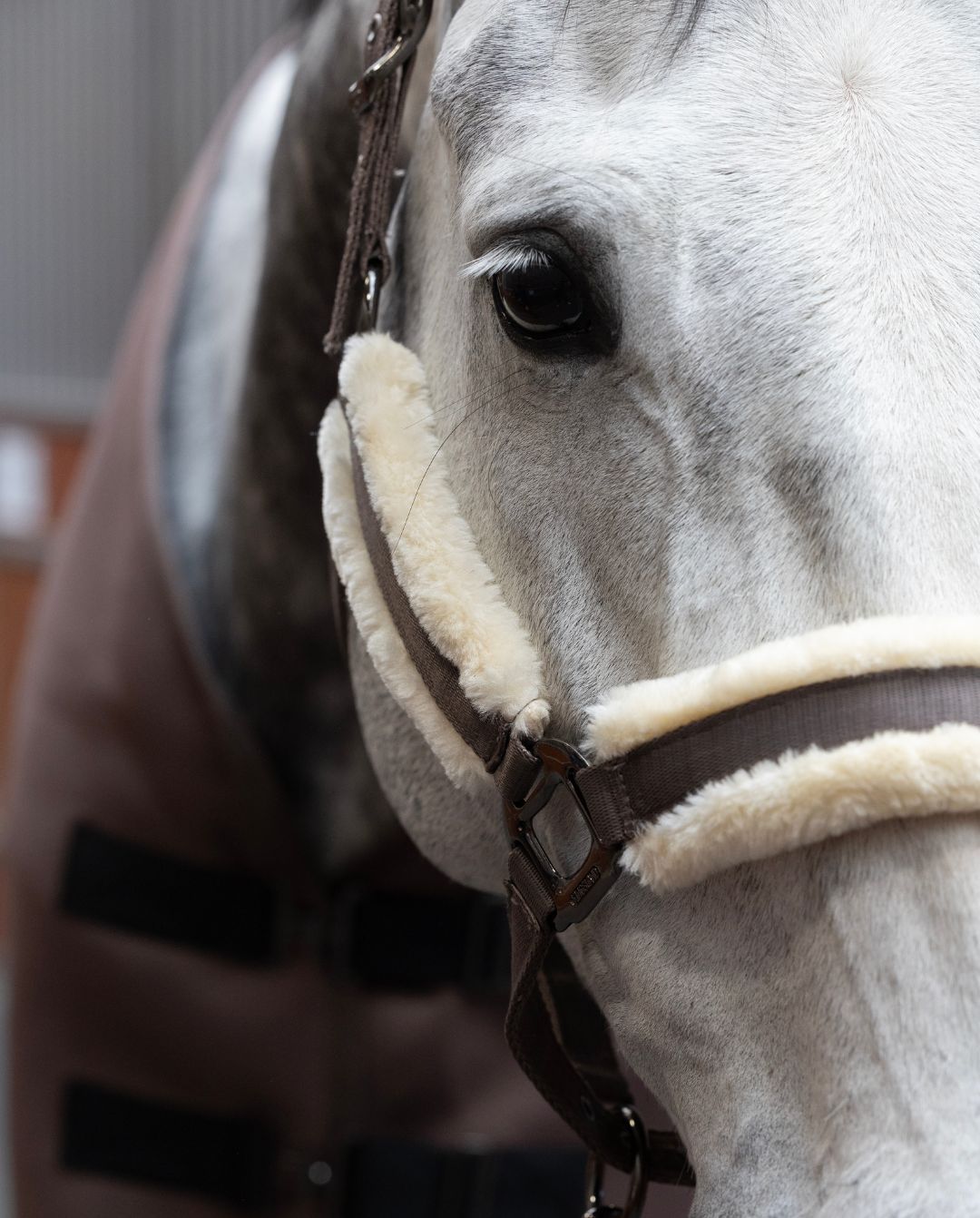 Kingsland »Halfter & Strick Set mit Fell KLLexie Brown Iron