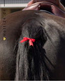 Kingsland »Pferde Mähnenschleifen KLDaisey Rot, für den Schweif ist ein unverzichtbares Sicherheitszubehör für Pferde, die zum Ausschlagen neigen. Die Schleife hat ein Gummiband für die sichere Befestigung  Artikelnummer 2410401581-6316 erhältlich bei www.Hotti24.de