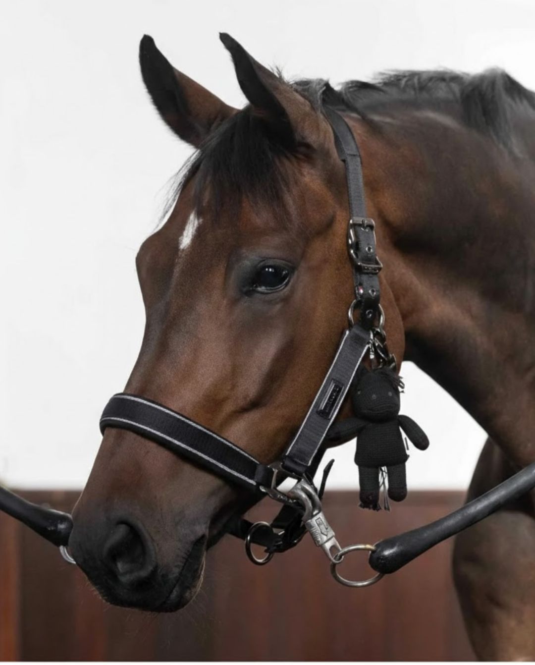 Kingsland »Pferdeteddy KLMonty Black