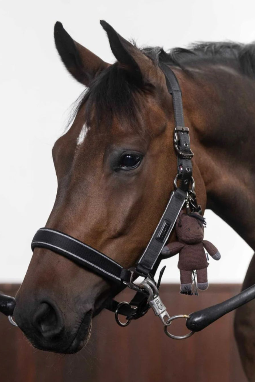 Kingsland Pferdeteddy KLMonty Chestnut