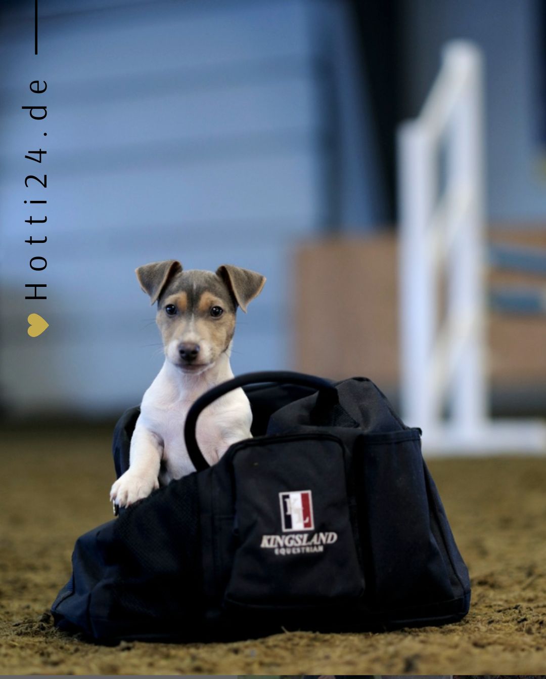 kingsland-reisetasche-classic-1000102621-6020-kaufen-www.hotti24.de
