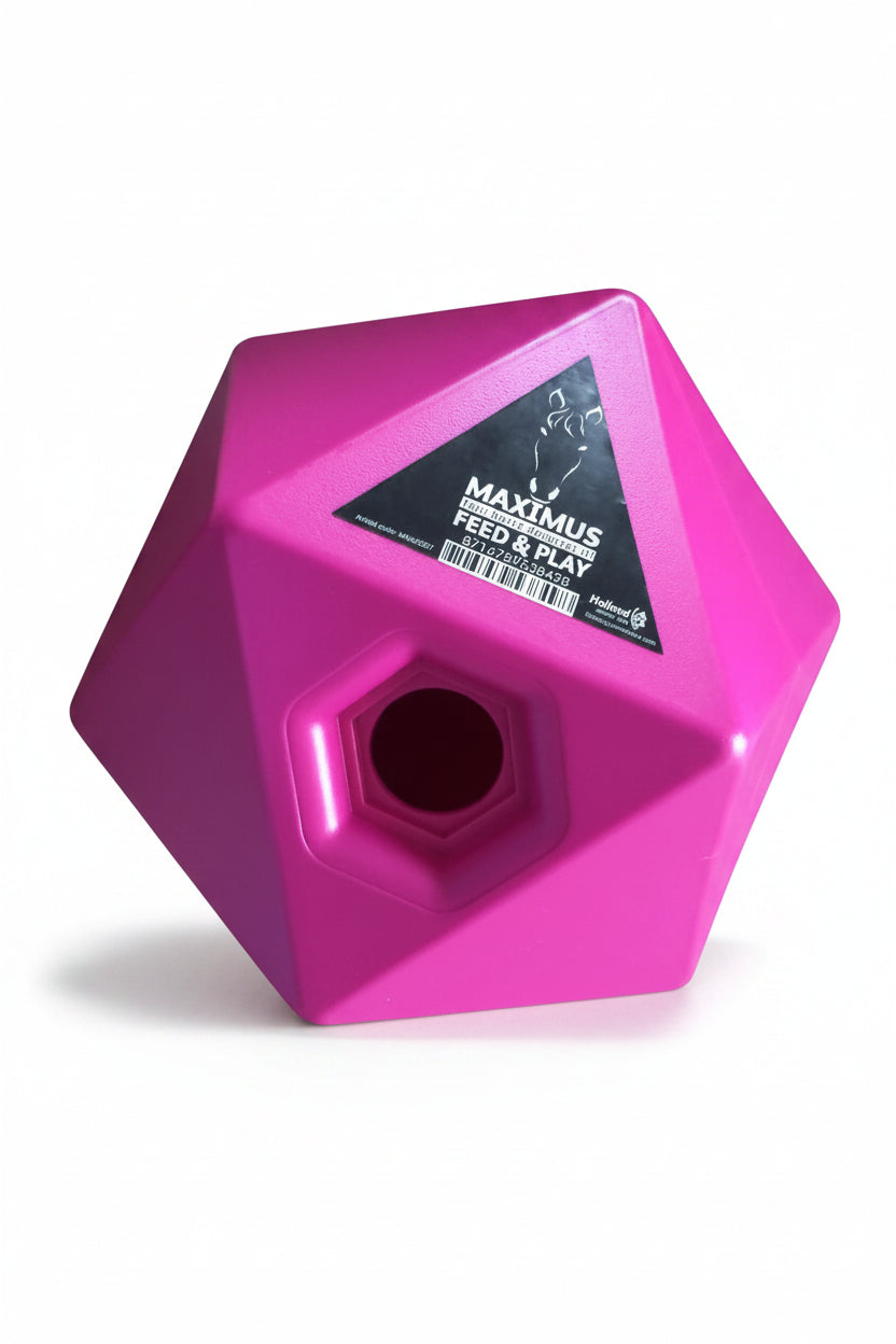 maximus-feed-play-cube-pink-maxi5207-kaufen-www.hotti24.de