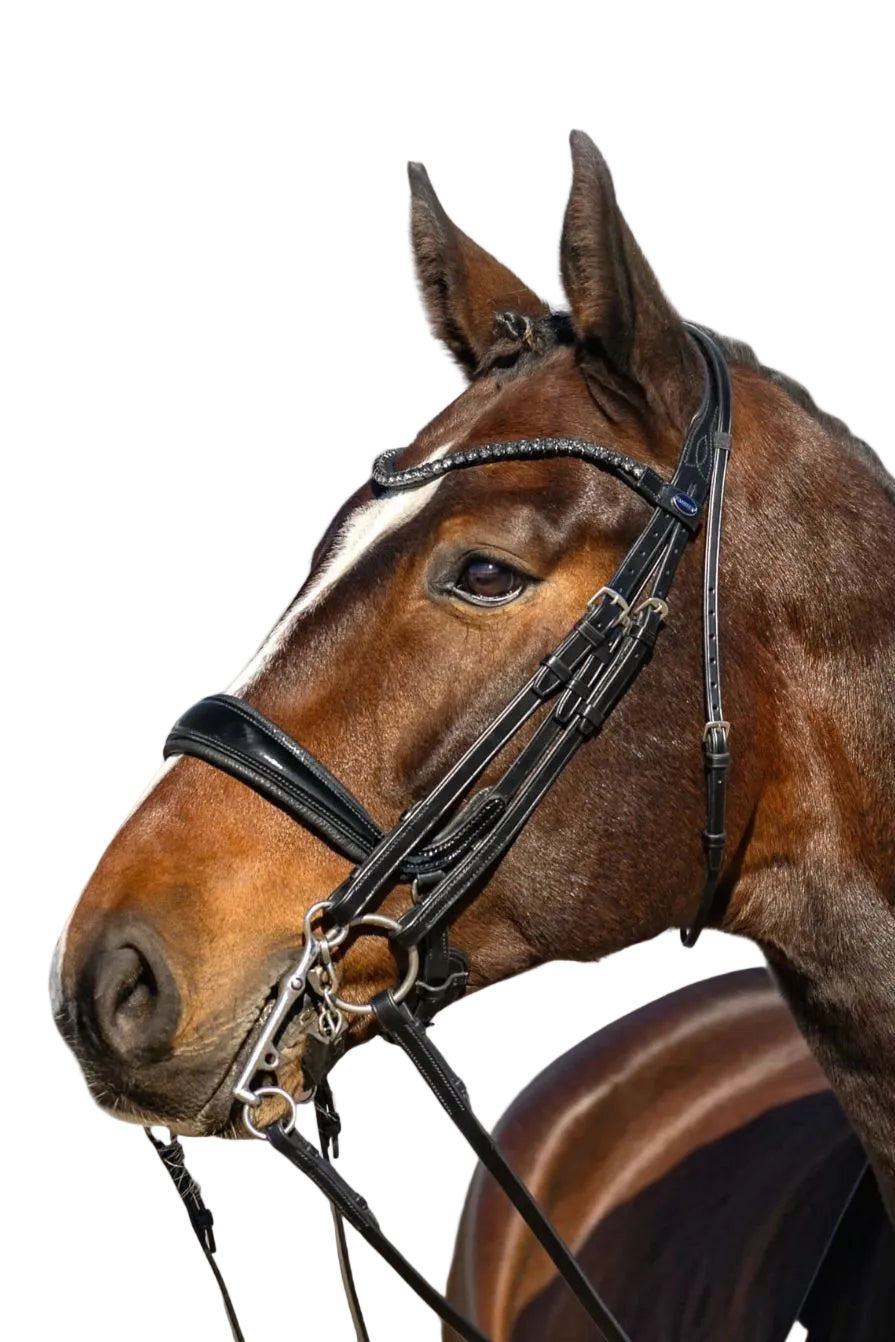 Passier Snaffle Bridle "Kandare Moonlight Lack Black Graphite Crystals