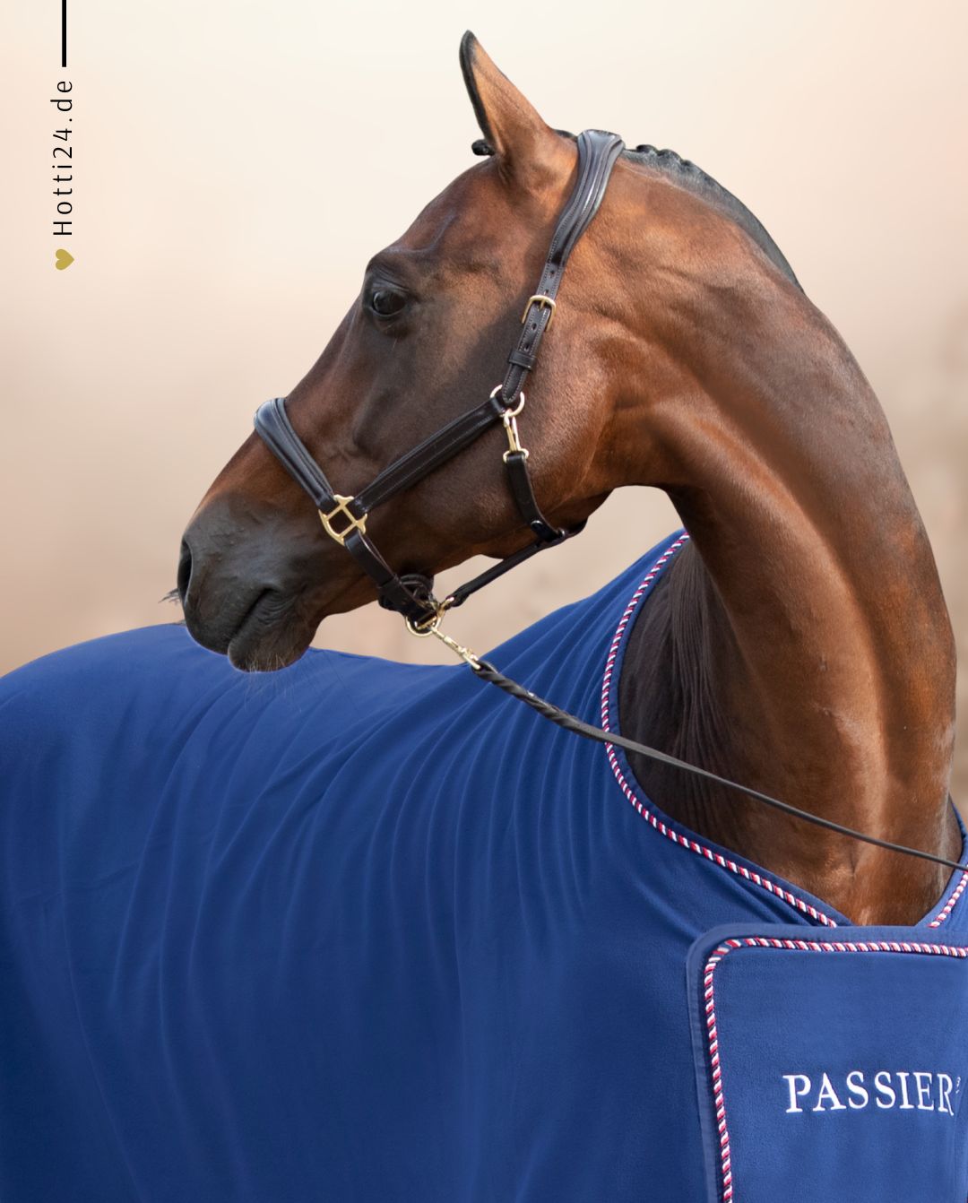 Passier »Lederhalfter Black