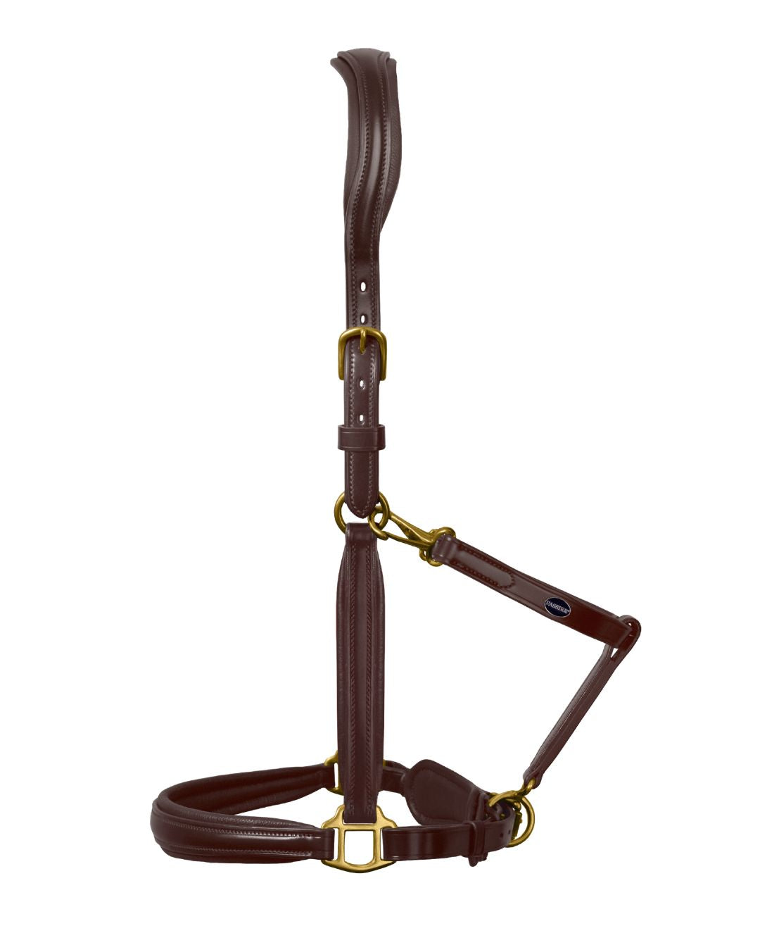 passier-pferde-lederstallhalfter-havanna