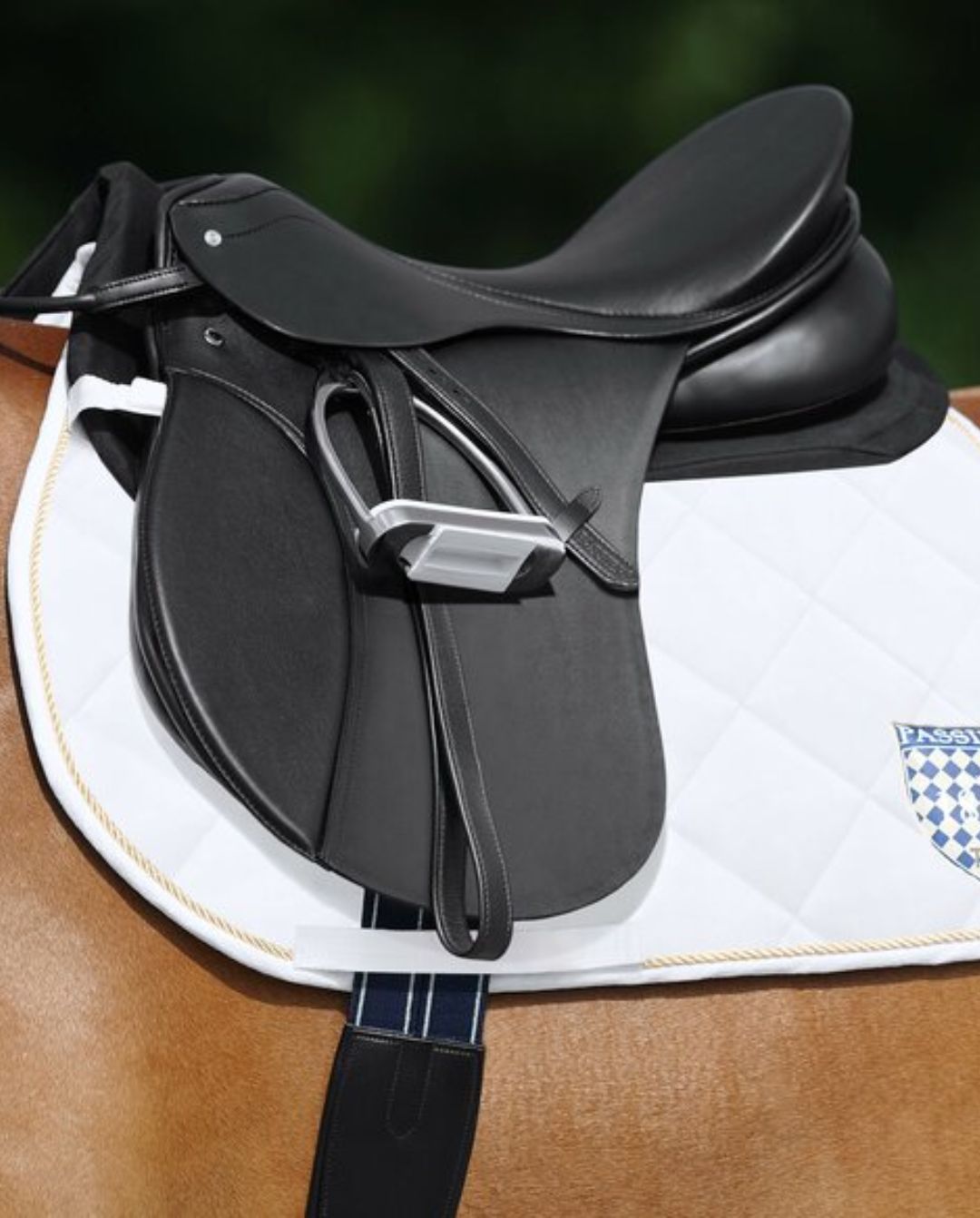 Passier »Trapezmuskelentlastungspad Black