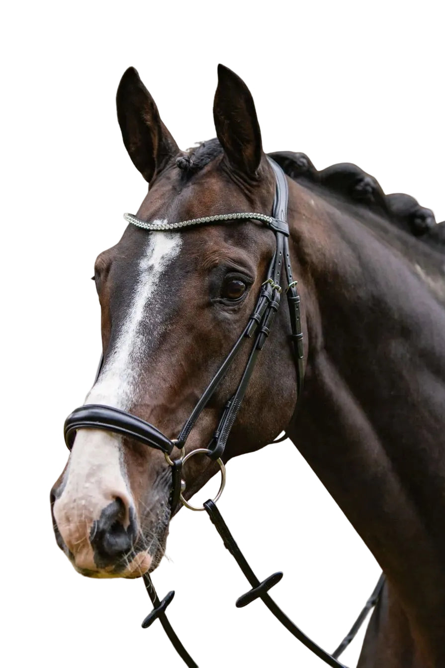 Passier "Confidence Black Clear Crystals" Bridle
