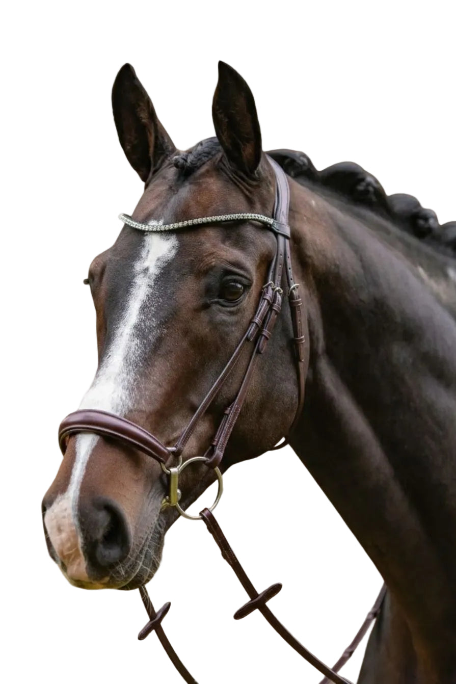 Passier "Confidence Bridle Havana Clear Crystals