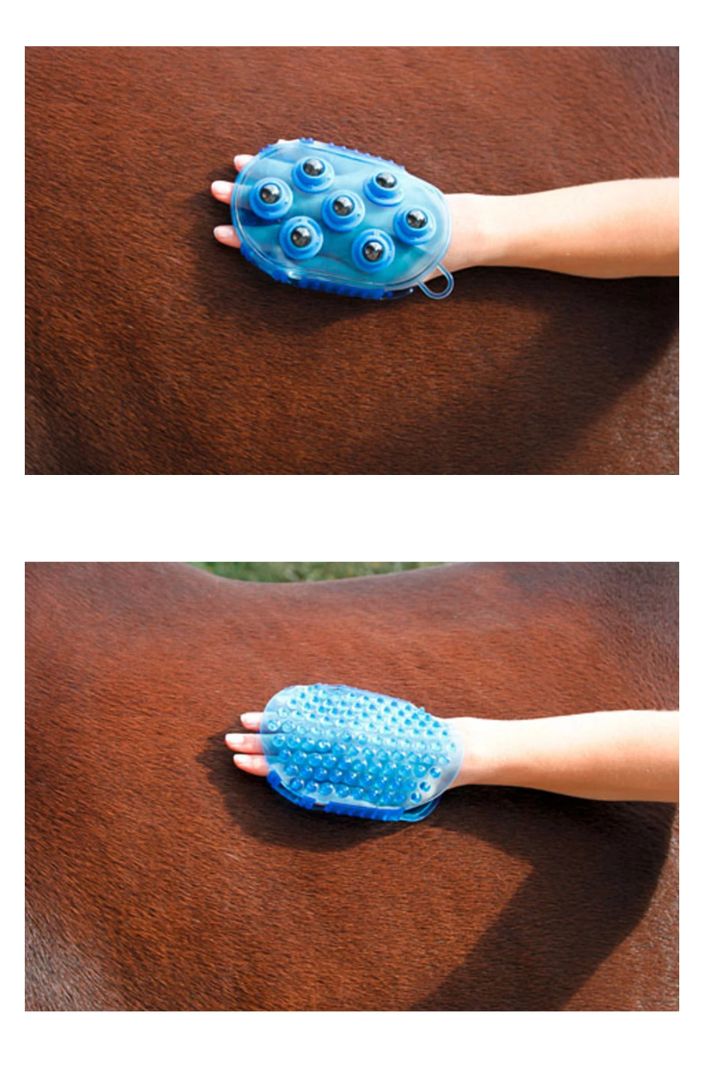 Pferde Buerste Magnet Massage Blau