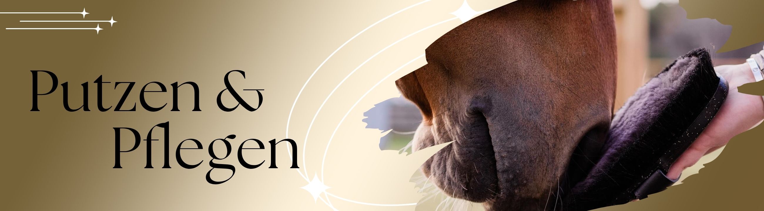 pferde-putzen-pflegen-banner