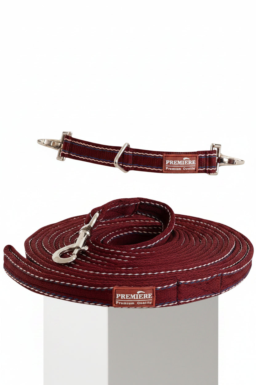 premiere-longierset-cabernet-451238-r159-bordeaux-kaufen-www.hotti24.de