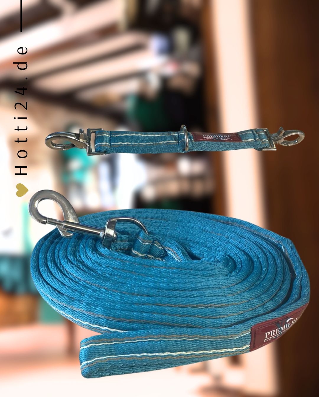 premiere-longierset-xs-teal-451243g118s01-kaufen-www.hotti24.de