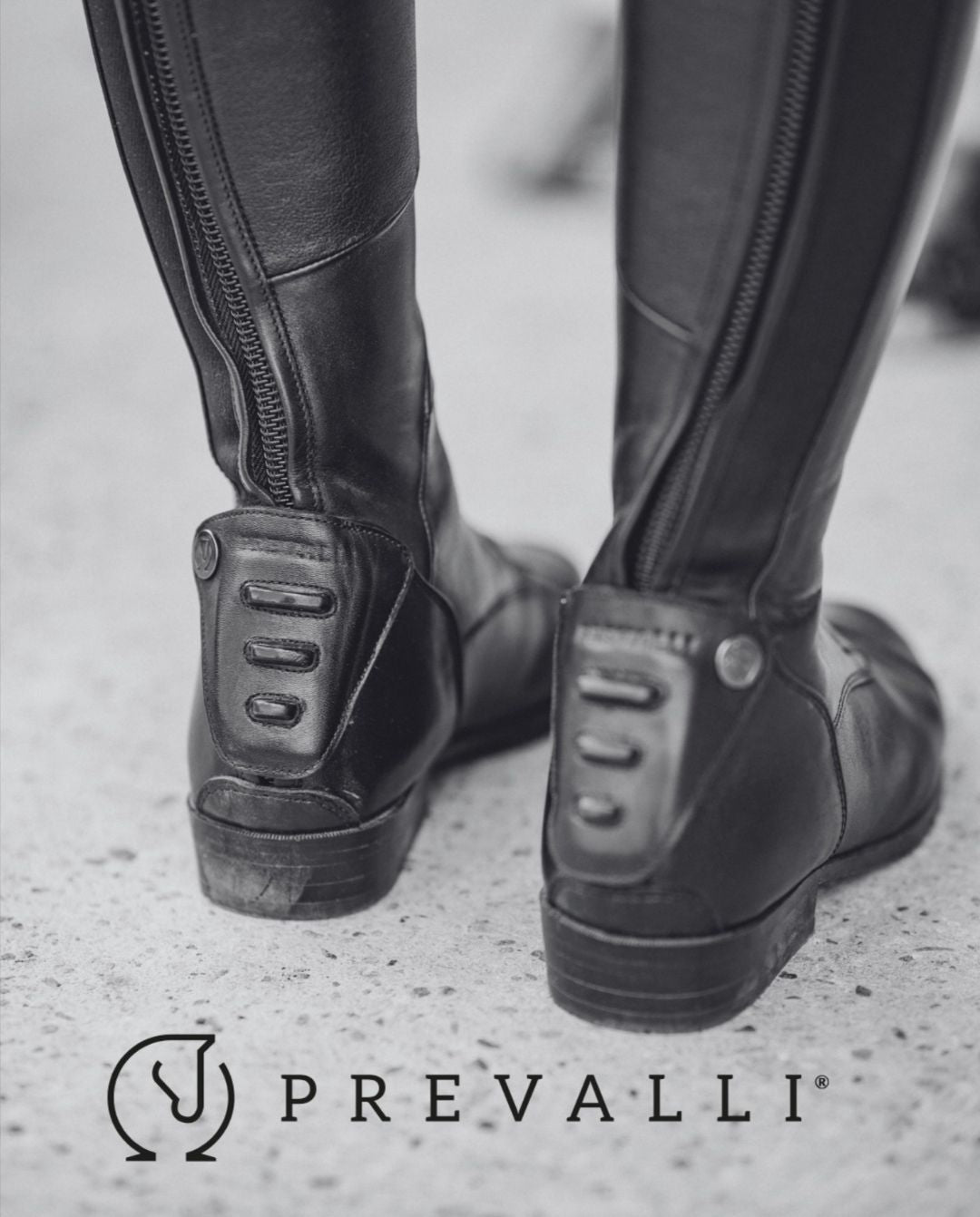 Prevalli »Reitstiefel Tosca Black