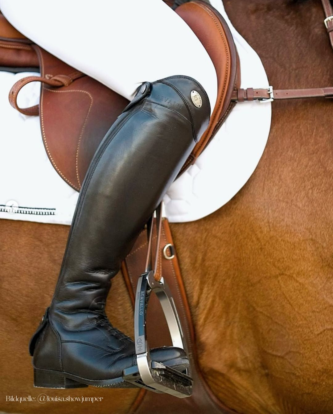 Prevalli »Reitstiefel Tosca Black