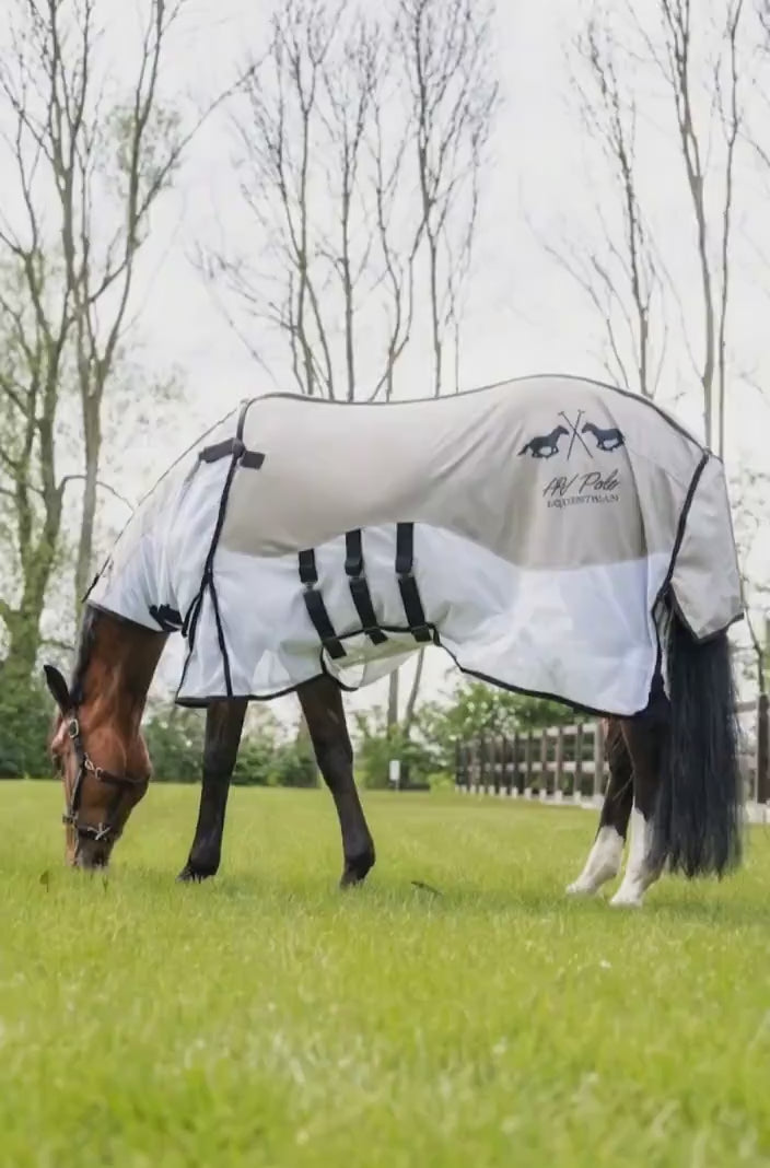 video hv-polo-pferde-fliegendecke-hvpnena-grey