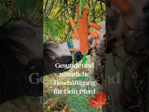 Heunetz Karl Karotte für Möhren & Heu