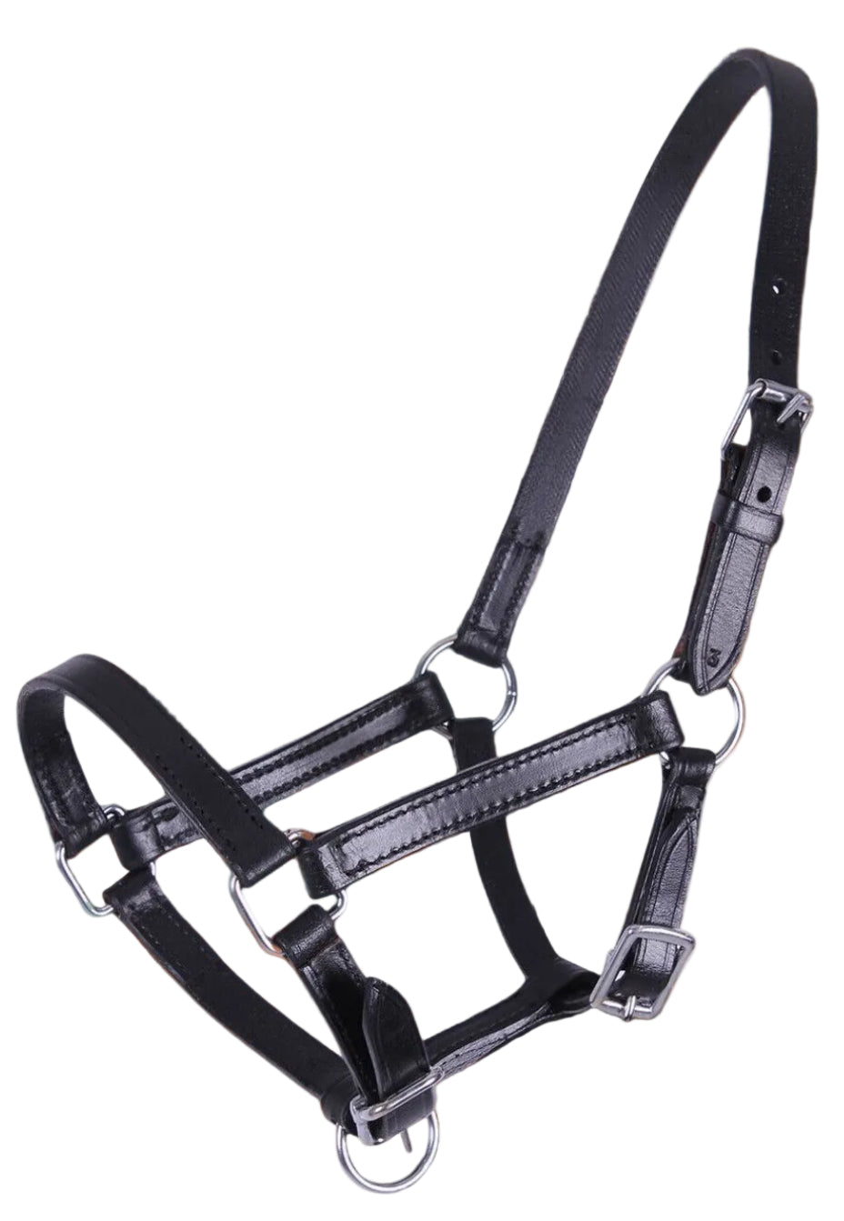 qhp-fohlen-lederhalfter-chico-schwarz-1013-kaufen-www.hotti24.de