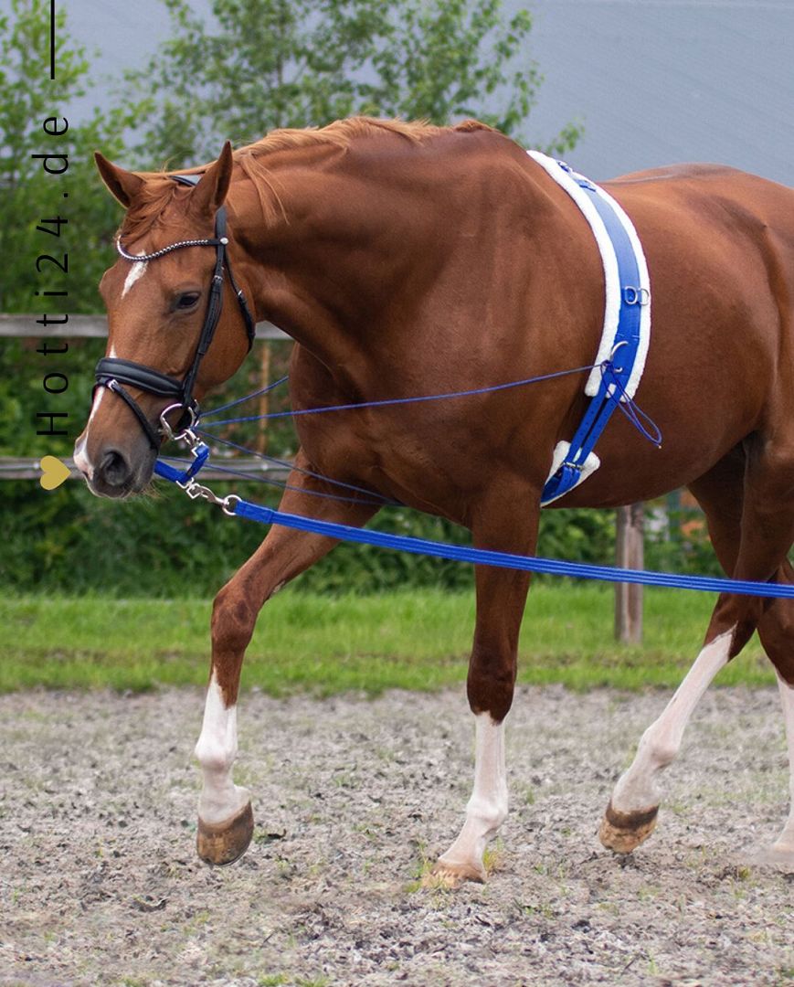 Die QHP Pferde Longierleine Artikelnummer: 1019 KB 0 Kobaltblau ist ein vielseitiges Zubehör für das Longieren Ihres Pferdes. Mit dieser hochwertigen Longierleine können Sie Ihr Pferd sicher und effektiv trainieren. Sie können diese Longierleine auf www.Hotti24.de erwerben.