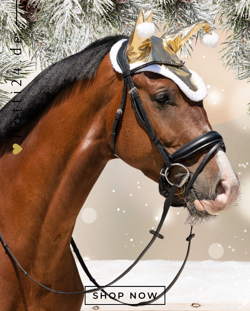 Die QHP Pferde Ohrenhaube Weihnachten Santa 5381 GO ist ein festliches Accessoire für Ihr Pferd, das perfekt zur Weihnachtszeit passt. Diese Ohrenhaube ist in einem festlichen Santa-Design gestaltet und verleiht Ihrem Pferd ein weihnachtliches Flair. Erwerben Sie die QHP Pferde Ohrenhaube Weihnachten Santa 5381 GO, um sicherzustellen, dass Ihr Pferd in der Weihnachtszeit stilvoll und warm gehalten wird. Sie können dieses Produkt auf der Website www.Hotti24.de erwerben.