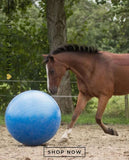 QHP »Pferde Pferdefußball Hufkicker