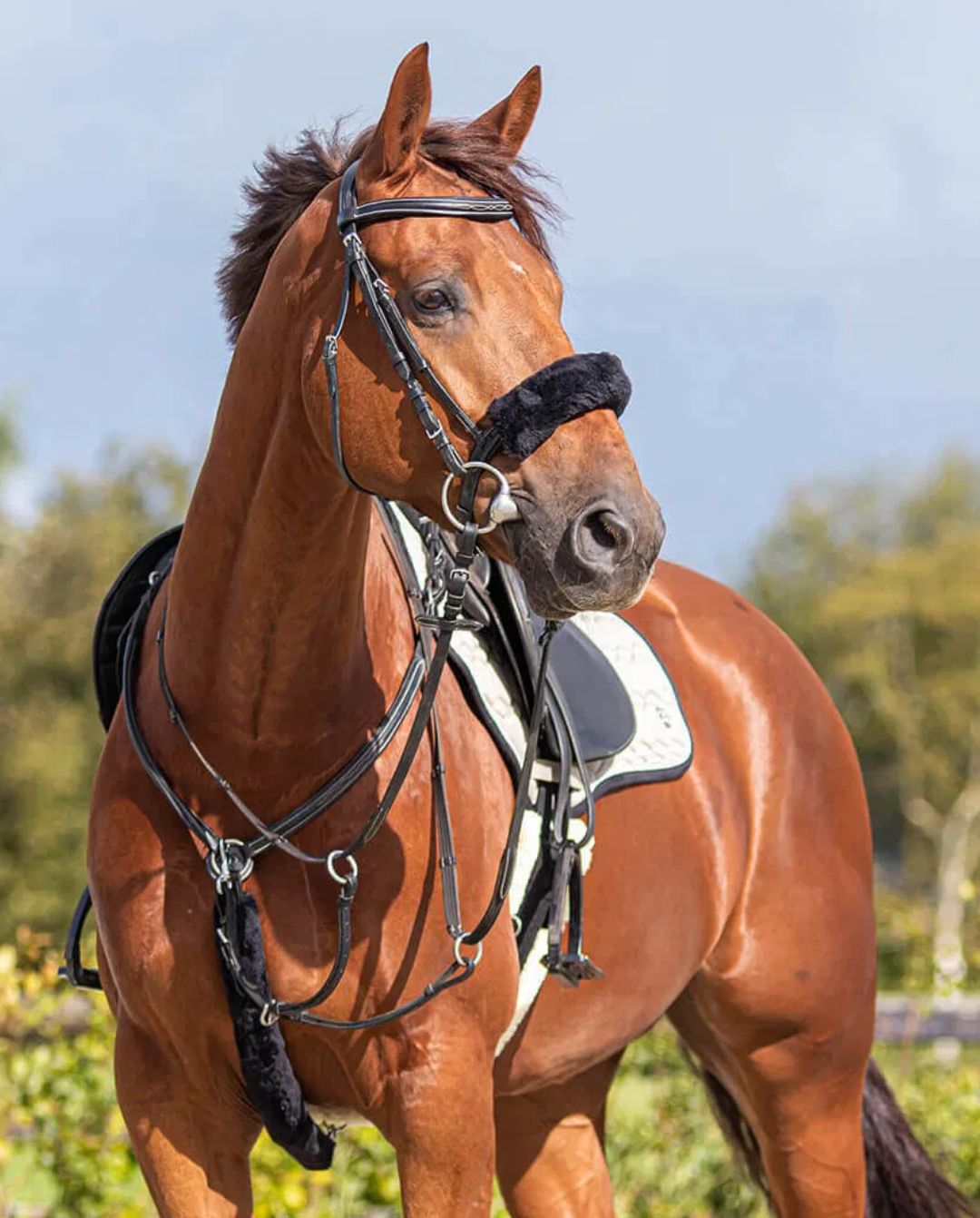 QHP »Vorderzeugschoner Martingal Pelz Black